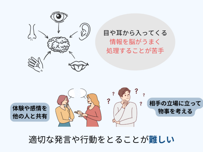 目や耳から入ってくる情報を脳がうまく処理すること苦手　体験や感情を他の人と共有　相手の立場に立って物事を考える　適切な発言や行動をとることが難しい